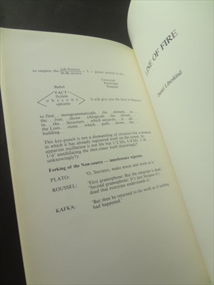 Daniel Libeskind: Line of Fire_写真6