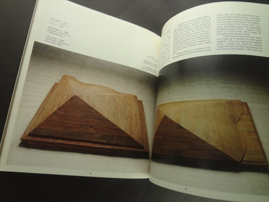 キンモ・ピューッコ彫刻展図録_写真4