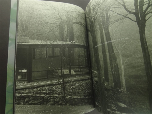 Philip Johnson's Glass House ガラスの家_写真3