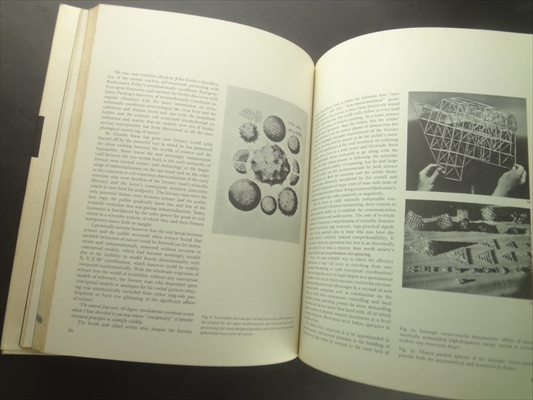 Structure in Art and in Science (Vision + Value Series)_写真1