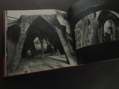 ガウディ: 造形の快楽をうたいあげた幻想の建築家_写真1