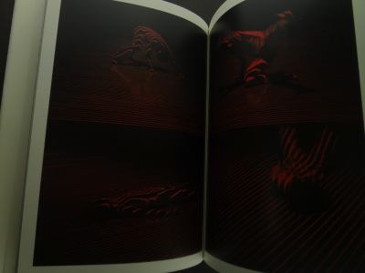 建築はどこにあるの？ 7つのインスタレーション_写真3