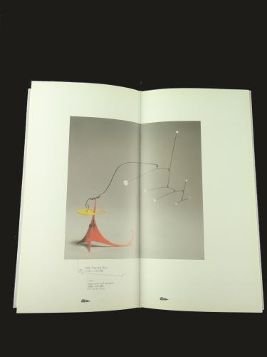 アレクサンダー・カルダー展_写真1