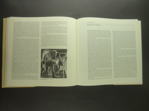 Bram van Velde 1895-1981_写真1