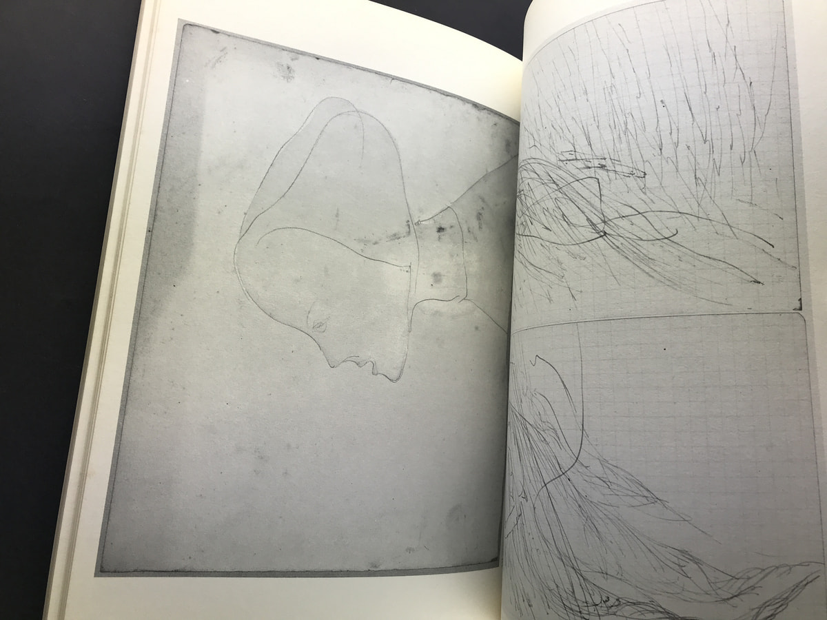 Joseph Beuys: The Secret Block for a Secret Person in Ireland_写真2