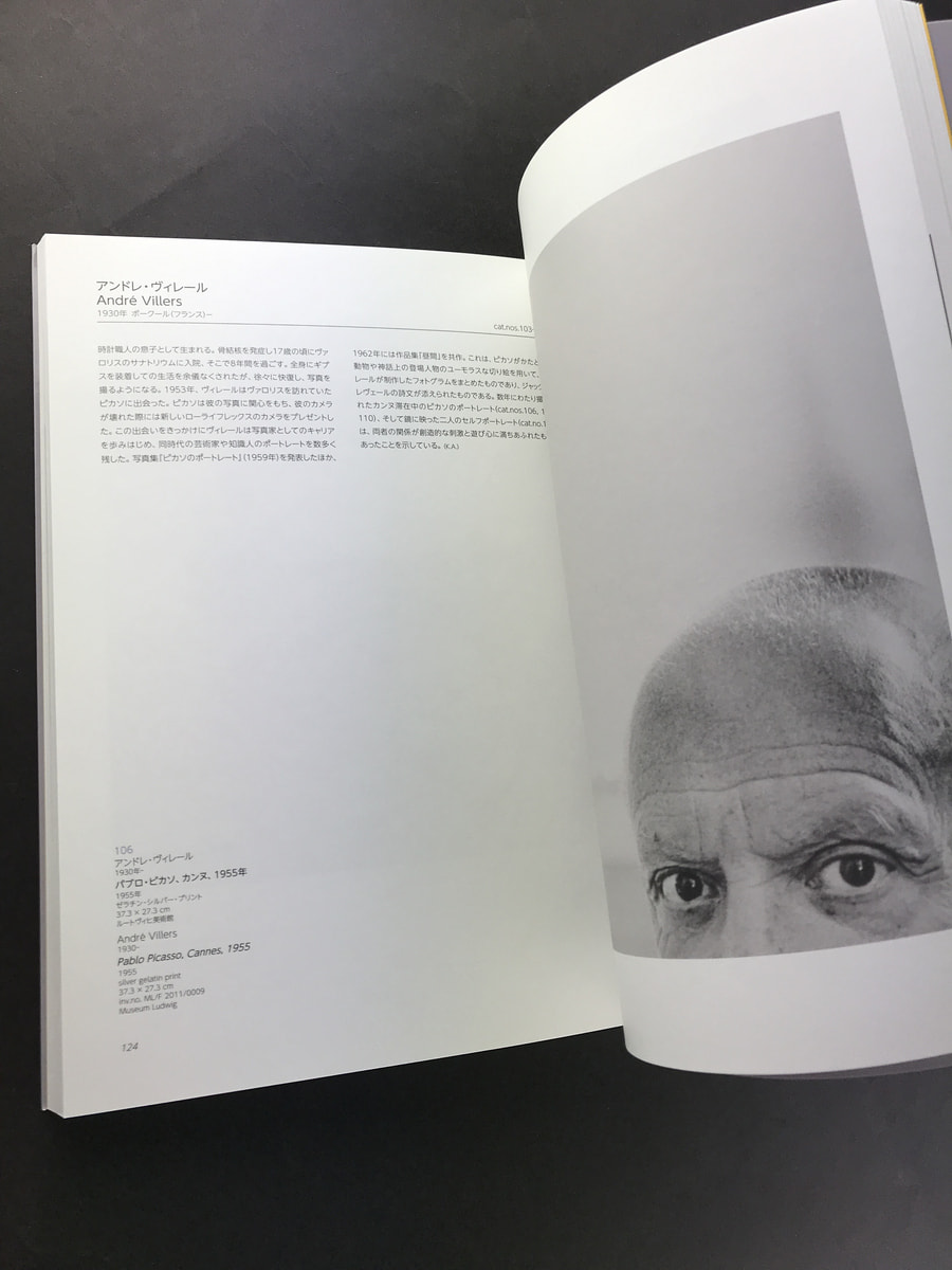 ピカソ-ルートヴィヒ・コレクション_写真5