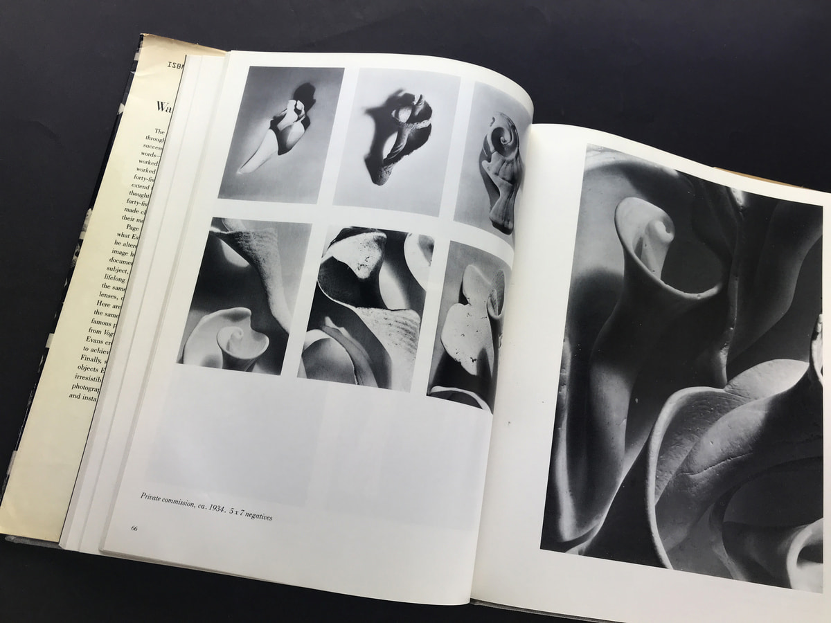 Walker Evans at Work_写真1