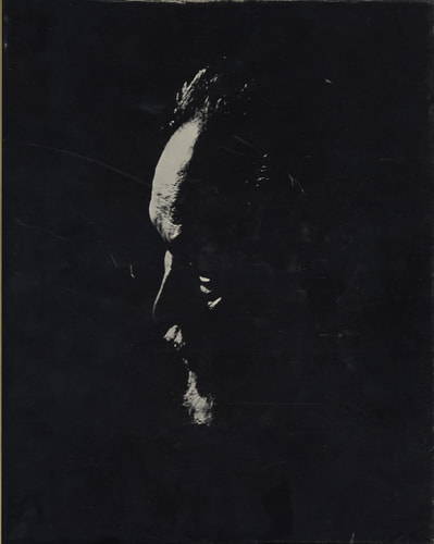 白井晟一の建築 [限定版]