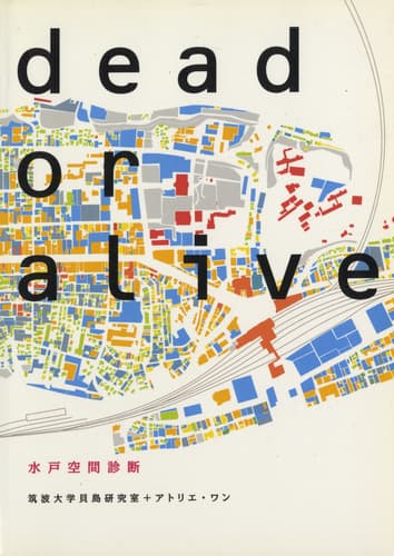 dead or alive 水戸空間診断