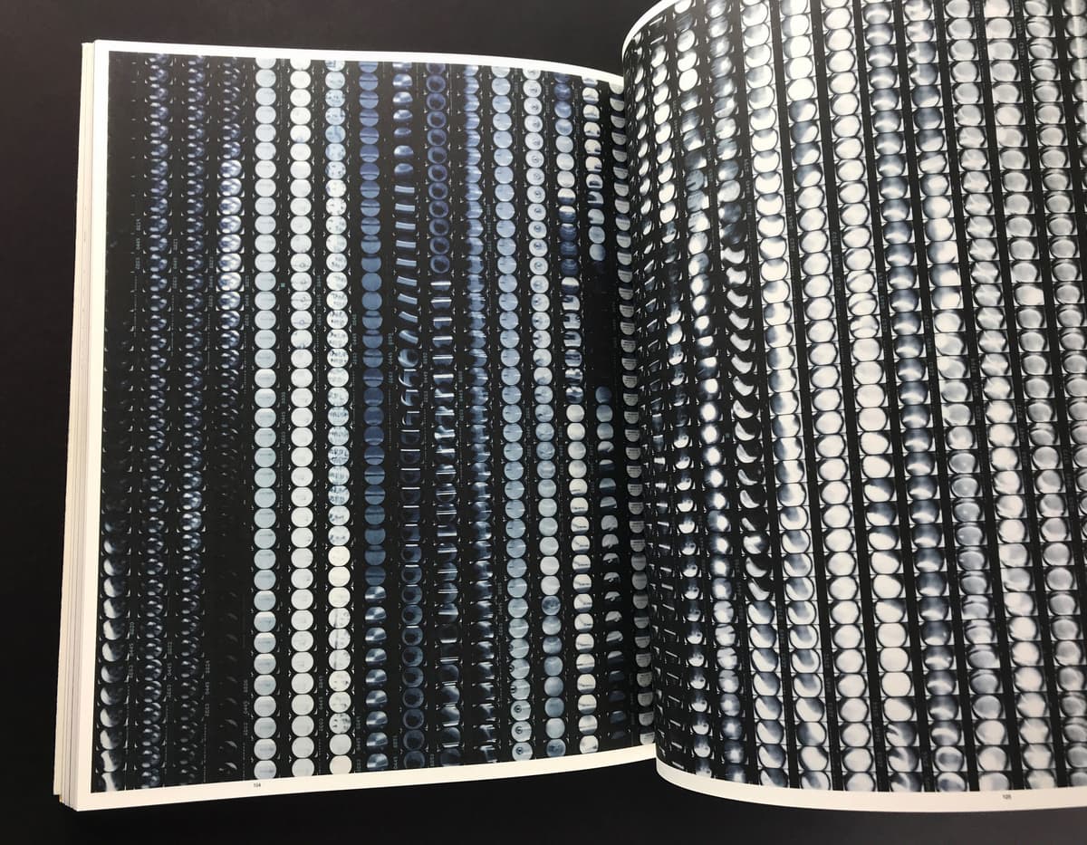 Tree Weekend_写真3