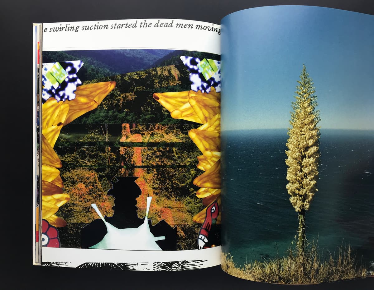 Gore: Black Dice & Jason Frank Rothenberg_写真2