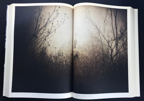 Livraison No. 4: Open Landscapes - Closed Rooms_写真1