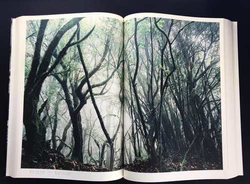 Livraison No. 4: Open Landscapes - Closed Rooms_写真4