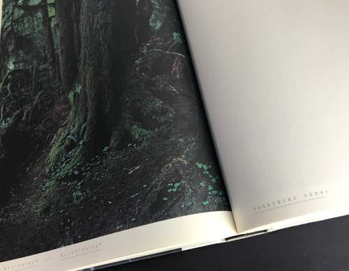 Livraison No. 4: Open Landscapes - Closed Rooms_写真5