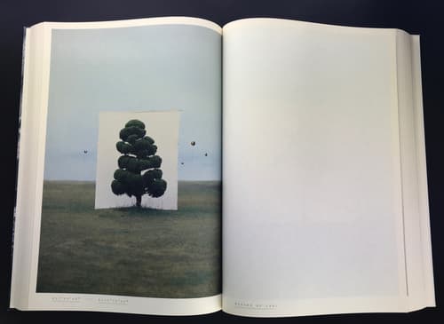 Livraison No. 4: Open Landscapes - Closed Rooms_写真6