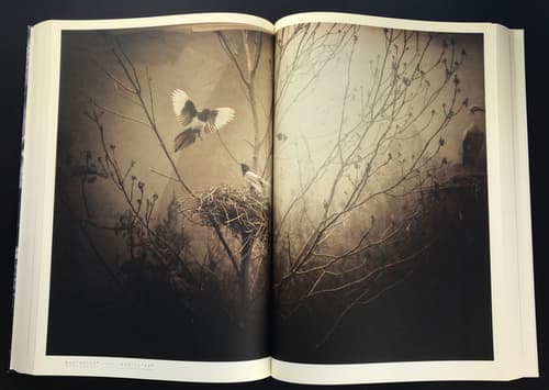 Livraison No. 4: Open Landscapes - Closed Rooms_写真9