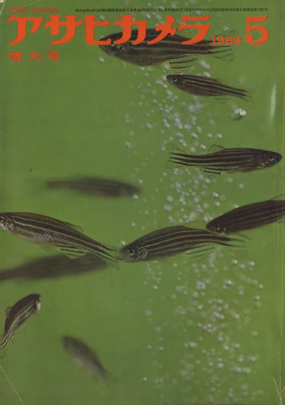 アサヒカメラ 1963年5月増大号_写真