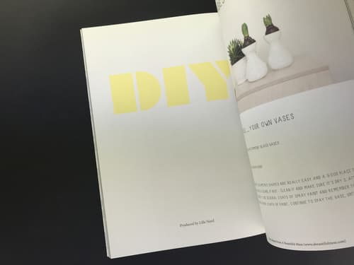 Lille Nord magazine 1 2014年春夏創刊号_写真1