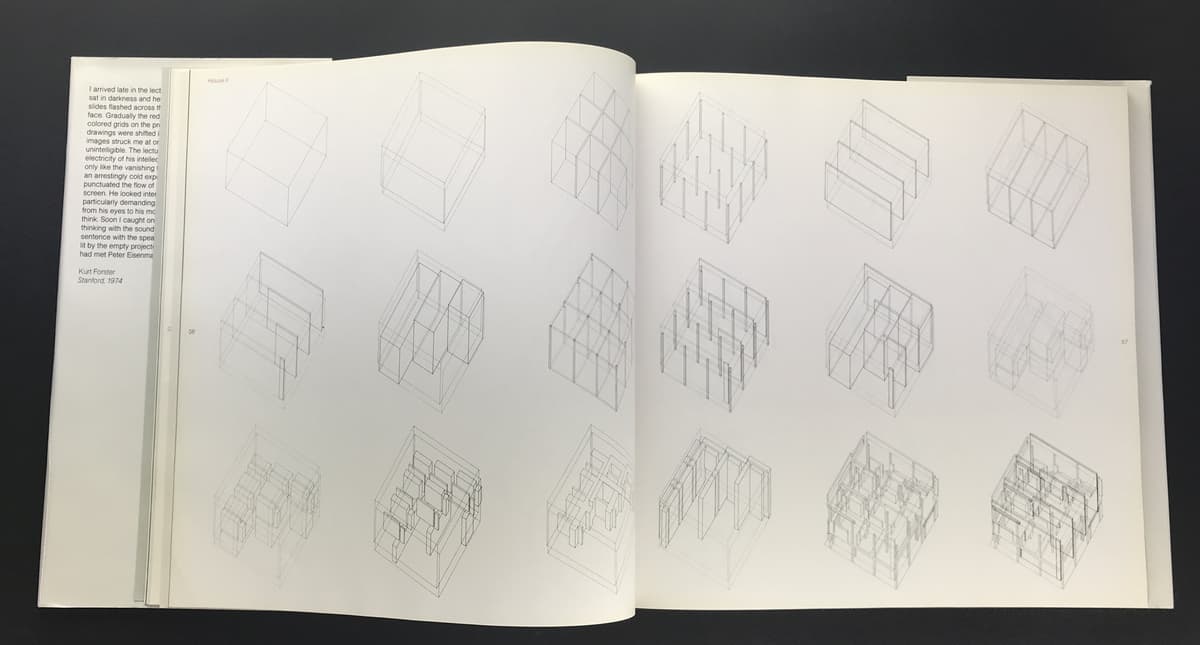 Peter Eisenman: Houses of Cards_写真2